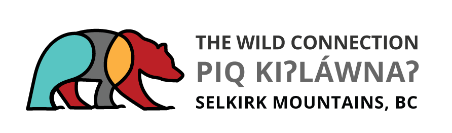 The Wild Connection - Piq kiʔláwnaʔ